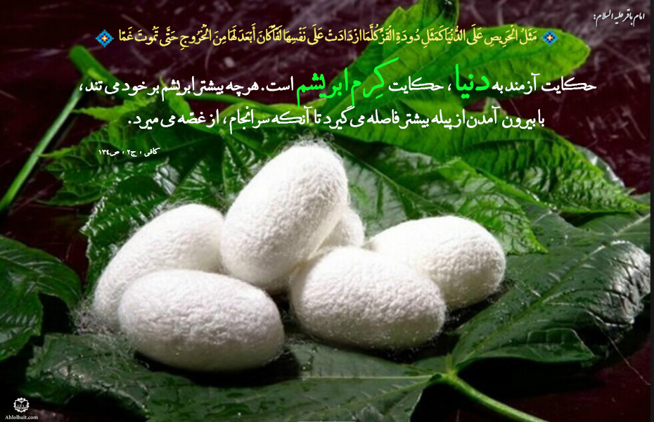حرص و آز و قناعت و قانع و حریص معنای حرص و قناعت