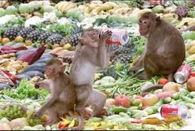 جشنواره میمونها فستیوال میمون ها در تایلند اسراف مواد غذایی اسراف گرایانه آداب جاهلی